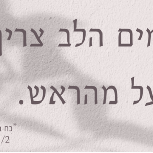 מגנט בגודל 6*3 ס״מ